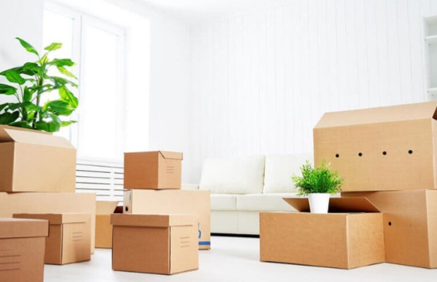 Regular Cleaning Service